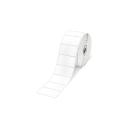 Normal paper (vellum) (roll