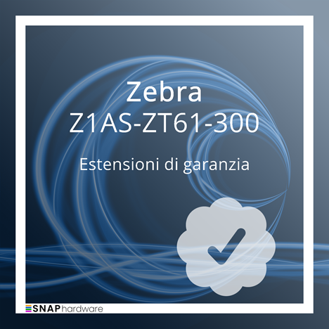 Zebra Z1AS-ZT61-300_1
