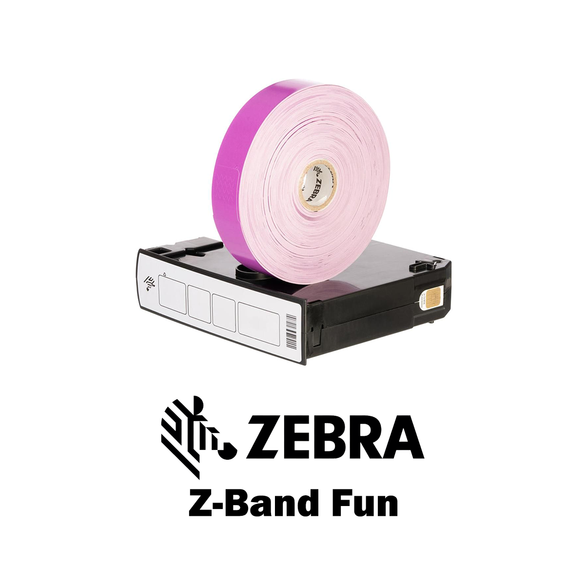 10012713-7K - Braccialetti Zebra Viola Z-Band Fun Polipropilene 